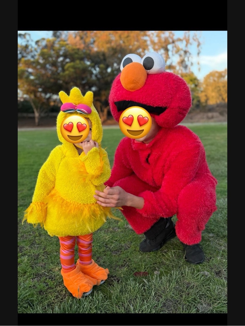 Elmo Costume Play